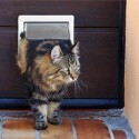 Вратичка за кучета и котки за вграждане