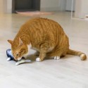 Плюшена играчка за котки, рибка с дължина 20см.
