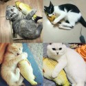 Мърдаща се играчка рибка за котки с USB батерия