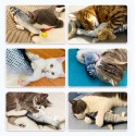 Мърдаща се играчка рибка за котки с USB батерия