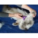 Уред за събиране на косми Furminator - за кучета и котки